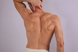Full back + shoulders 